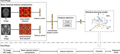 Diagnosis for autism spectrum disorder children using T1-based gray matter and arterial spin labeling-based cerebral blood flow network metrics